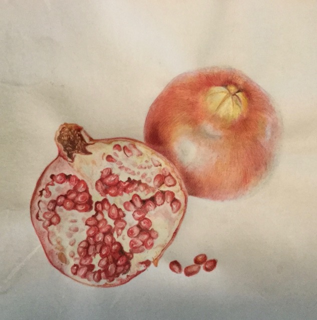Pomegranate - Marilyn Garber