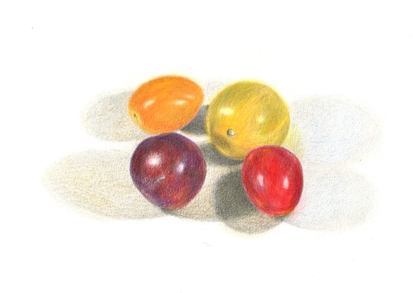 Grape Tomatoes drawing